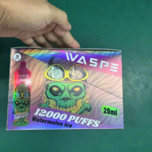Waspe 12000 mga puffs kit