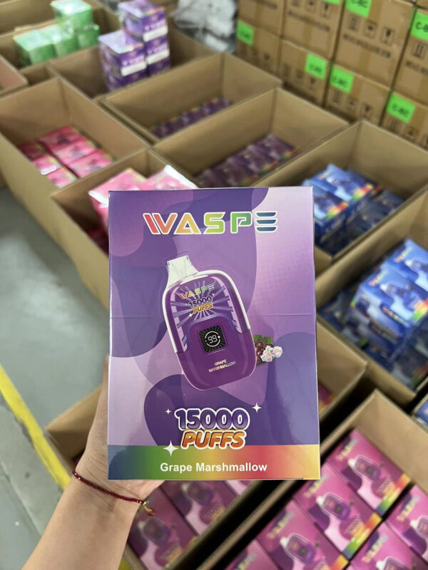 Waspe Vape 15000 Disposable Vape Kit
