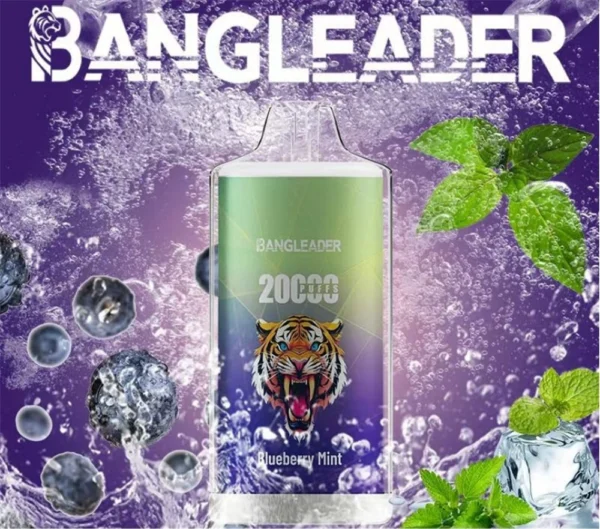 BANGLEADER CRYSTAL 20k Vape wholesale deal quality disposable