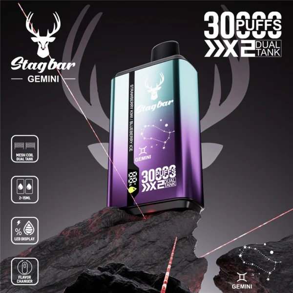 Double Flavor Stag Bar Gemini 30k Disposable Vape 2-in-1 Technology