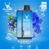 Stag Bar Gemini 30k Vape Dual Flavor Pods Refillable Option