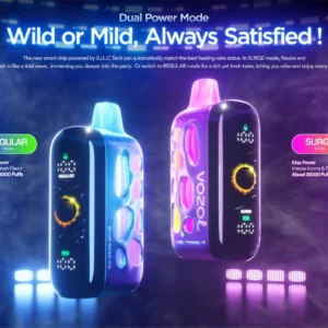 Vozol Rava 40k Puffs Disposable Vape Wholesale
