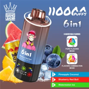 Bang Leader vienreizējās lietošanas vape 110000 uzpūtienu vairumtirdzniecība