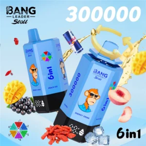 300k Puffs Bang Leader Disposable Vape