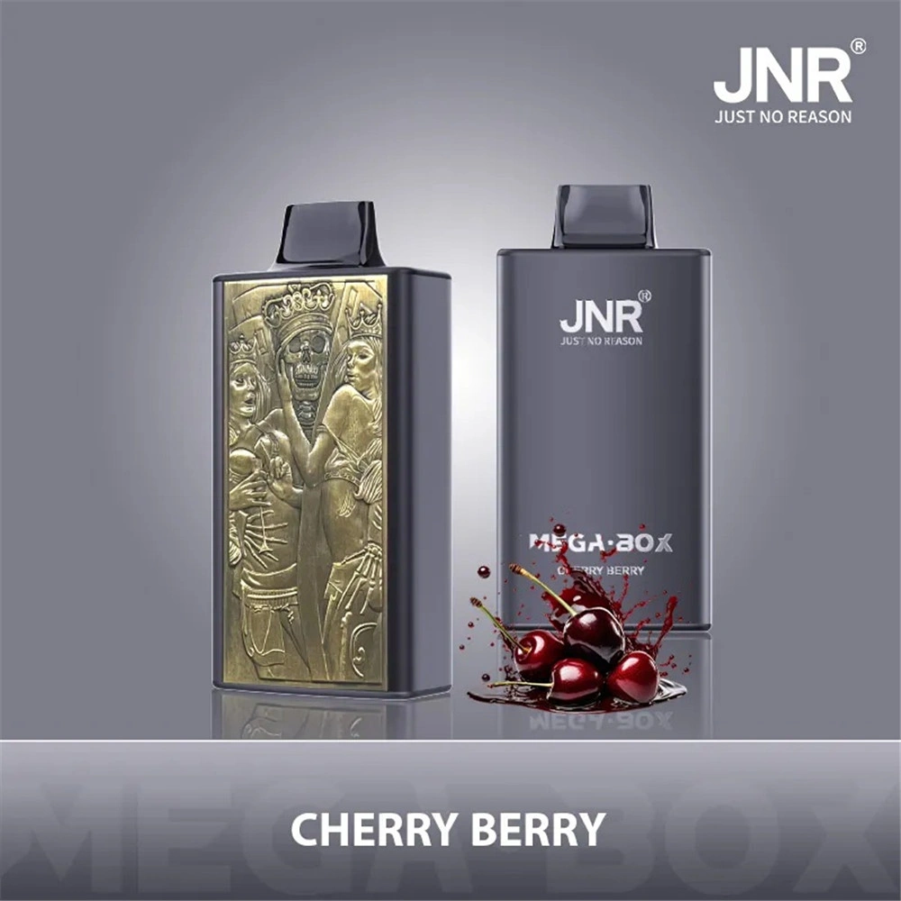jnr-mega-box-fournisseur-vape-commande-en-gros Vape jetable JNR Mega Box Double Mesh Coil en gros