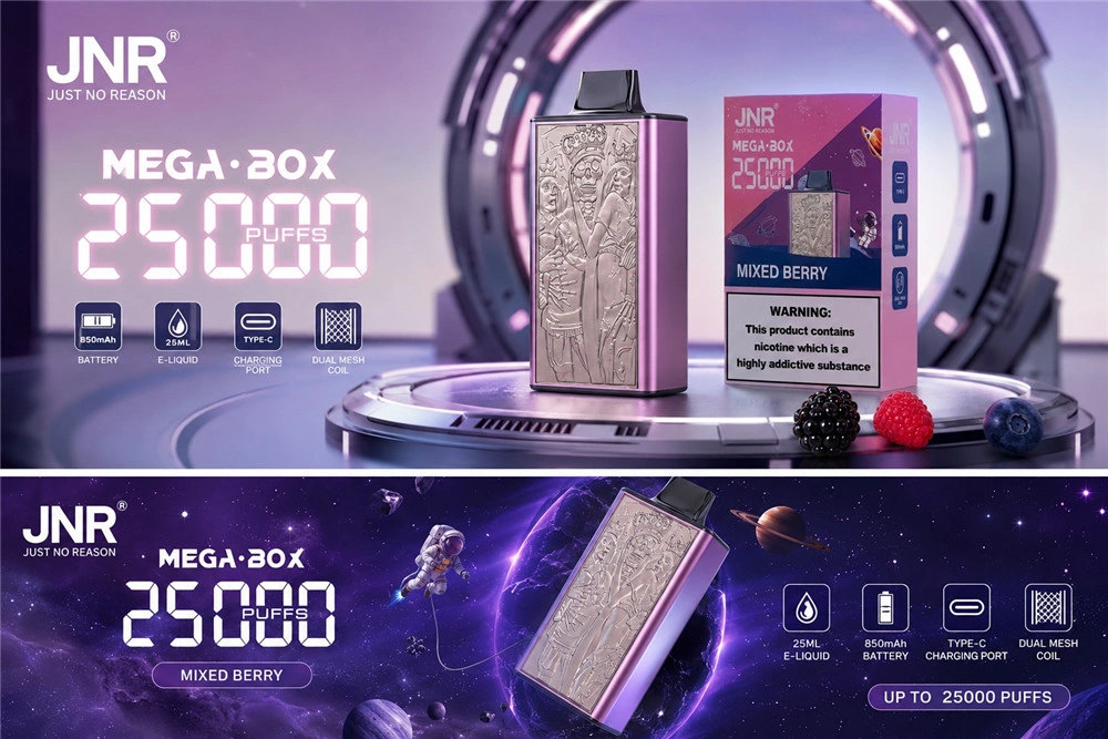 Commande en gros de vapoteuse rechargeable Type C JNR Mega Box