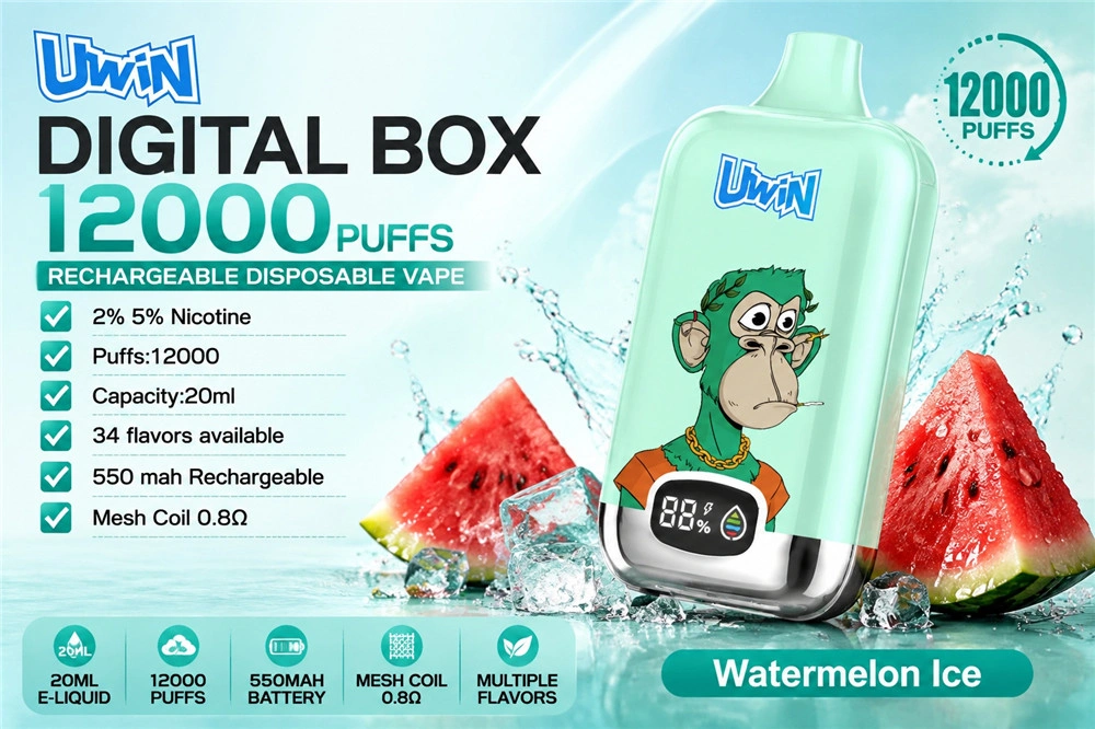 Digitale Box Vape 12k Züge Preis